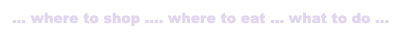 when-in-rome slogan